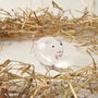 Hand Blown Glass Pig Ornament In Gift Box, thumbnail 1 of 3