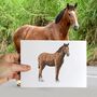 Personalised Full Body Horse Portrait Print, thumbnail 2 of 10