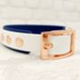 Waterproof Dog Collar And Lead Set Navy/White, thumbnail 2 of 3