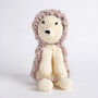 Maisie Hedgehog Crochet Amigurumi Kit, thumbnail 1 of 8