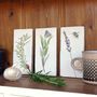 Kitchen Garden Herbs Ceramic Tile Wall Art, thumbnail 3 of 8