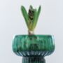 Rich Green Ribbed Hyacinth Vase, thumbnail 4 of 5