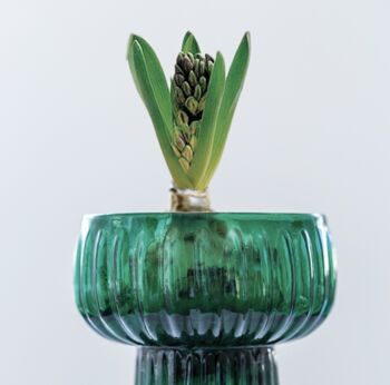 Rich Green Ribbed Hyacinth Vase, 4 of 5