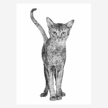 Siamese Cat Print, 2 of 3