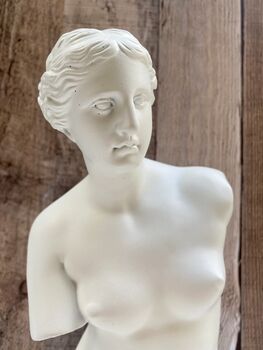 Pair Of Venus White Bookends Heavy Book Holders Gift, 6 of 9