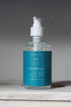 image of the product related to this review