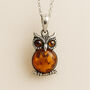 Personalised Sterling Silver Baltic Amber Owl Necklace, thumbnail 1 of 10