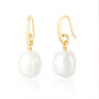 Yellow Gold Plated White Freshwater Pearl Drop Earrings, thumbnail 4 of 7