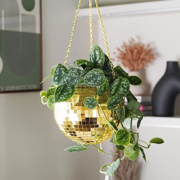 Gold Disco Ball Hanging Planter, 2 of 4