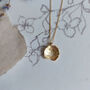 Pressed Flower Daisy Necklace Gold Plated, thumbnail 8 of 9