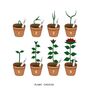 Personalised Plant Family Print, thumbnail 2 of 2