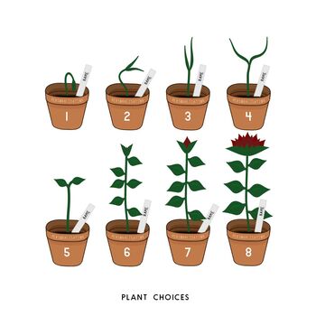 Personalised Plant Family Print, 2 of 2