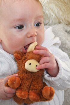 Longhorn Highland Cow Mini Soft Toy And Baby Rattle, 8 of 8