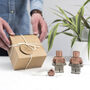 Robot Copper Concrete Family Set Variations Available, thumbnail 1 of 12