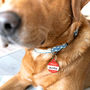 Personalised 'Hello My Name Is' Pet ID Tag, thumbnail 4 of 9