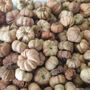 Dried Baby Pumpkin Autumn Potpourri Home Decoration Scented With Pumpkin Spice, thumbnail 10 of 10
