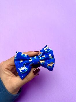 Skateboarding Dogs Harness Lead Collar Waste Bad Set Bundle, 8 of 11