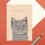 Cats Whiskers Greetings Card, thumbnail 1 of 3