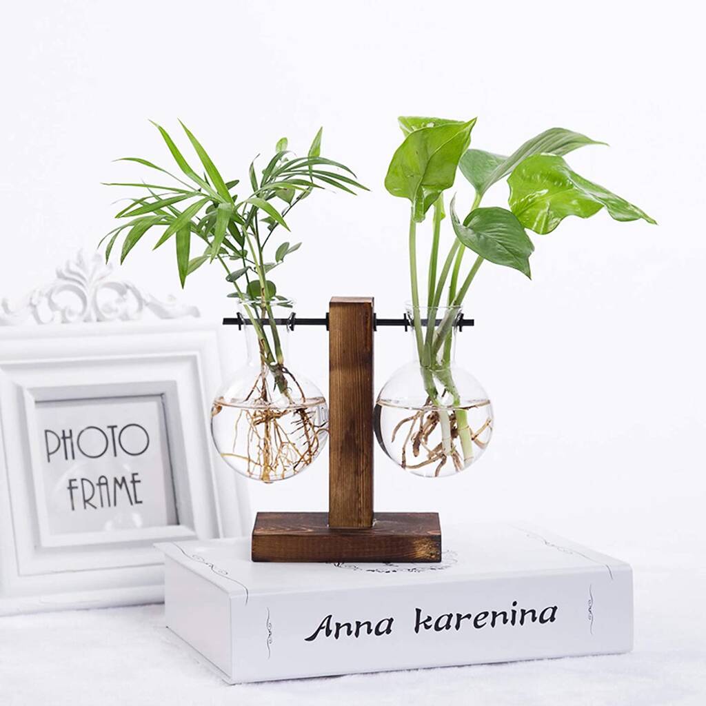 Five Glass Planter Bulb Vases With Retro Wooden Stand By Momentum