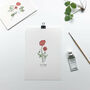 ‘Field Poppy’ Wildflower Botanical Giclée Art Print, thumbnail 1 of 3