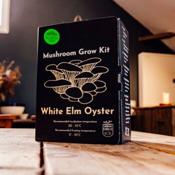 Oyster Mushroom Growing Kit, 5 of 11