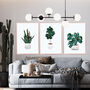 Set Of Three House Plant Scandi Wall Art Prints, thumbnail 1 of 6