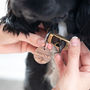 Personalised Paw Pet Tag, thumbnail 2 of 7