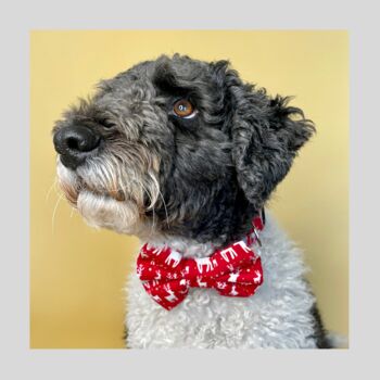 Red Reindeer Christmas Dog Bow Tie, 3 of 3
