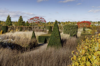 R.H.S Garden Hyde Hall Entrance For Two, 7 of 11