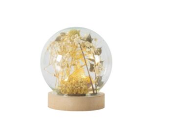 Glass Globe Dome With Dried Flora And LED, 3 of 6