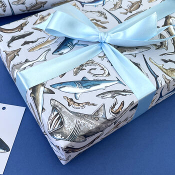 Sharks Species Wrapping Paper, 3 of 5