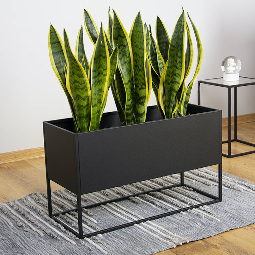 Black Long Metal Planter Raised On Stand By Dezzanti ...