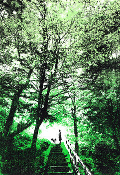 'Woodland Walks' Green Trees Original Silkscreen Print, 2 of 2