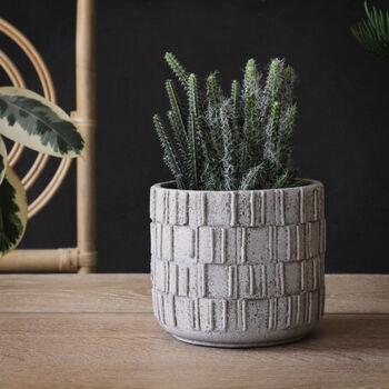 Cement Anyas Planter, 2 of 2