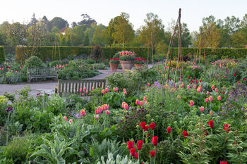 R.H.S Garden Hyde Hall Entrance For Two, 5 of 11