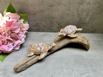 Double Painted Turtle Figurine Ornament – Root Sculpture, 5 of 12