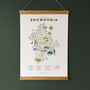 Snowdonia Illustrated Walking Map Checklist Print, thumbnail 3 of 7
