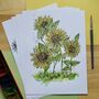 Sunflower Watercolour A4 Art Print, thumbnail 1 of 5