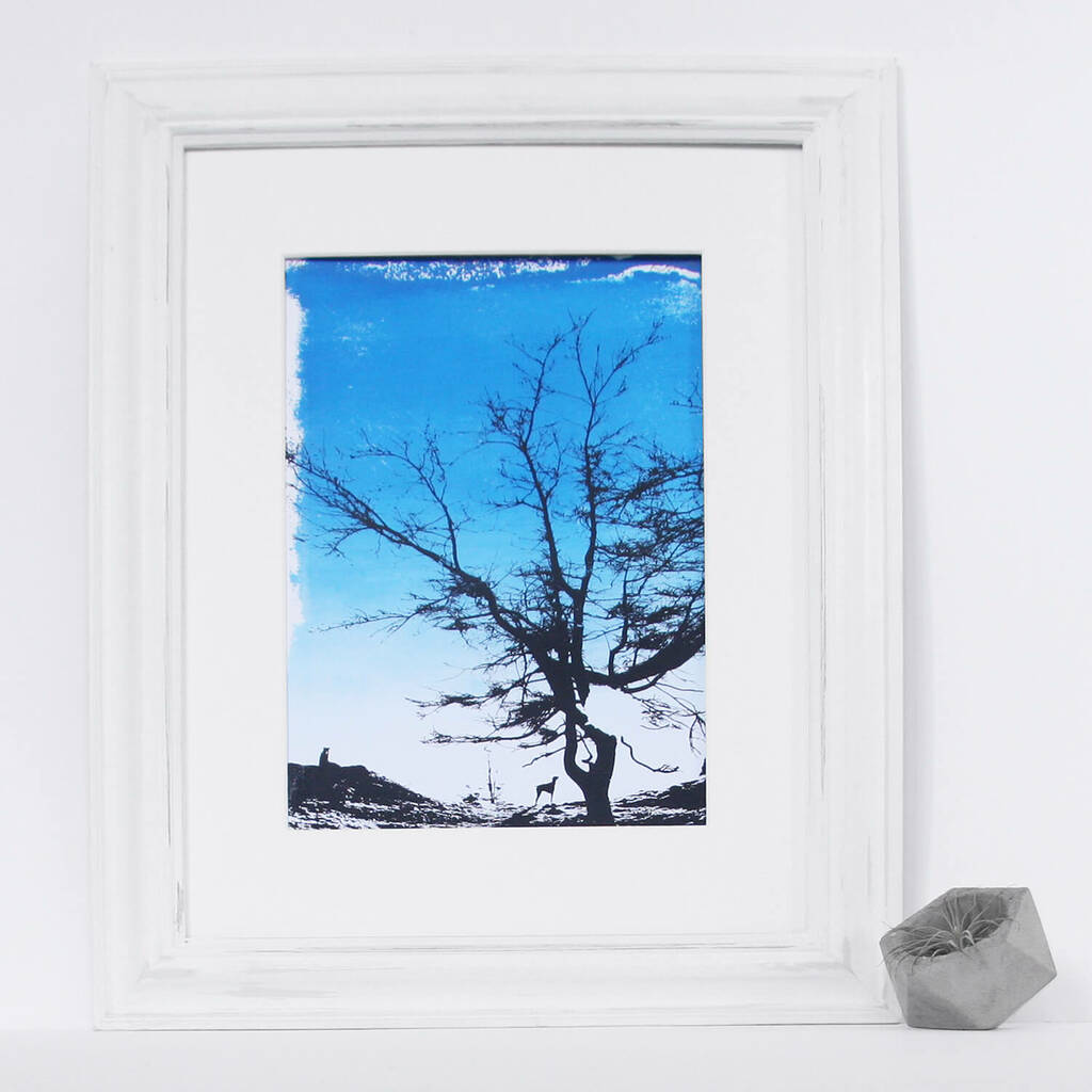 'Dog Days' Walk Blue Sky Tree Original Silkscreen Print, 1 of 2