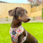 Little Enchanted Meadows Floral Dog Harness, thumbnail 11 of 11
