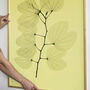 The Inner Essence Of Plants Orkidebauhinia Xl Print, thumbnail 2 of 3