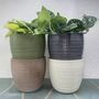 Ceramic Planter And Plant, Perfect Wedding Gift, thumbnail 1 of 12