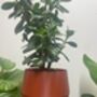 3D Printed Angled Plant Pot – Stylish And Sustainable, thumbnail 4 of 12