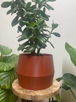 3D Printed Angled Plant Pot – Stylish And Sustainable, 4 of 12