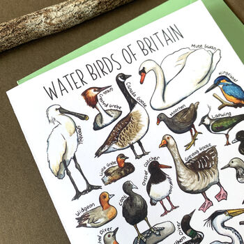 Water Birds Of Britain Greeting Card, 12 of 12