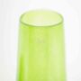 Glass Vase Robert Jungle Green Colour By Dut Z, thumbnail 2 of 7