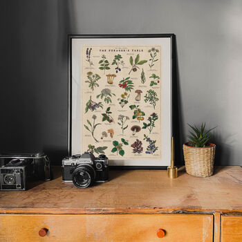 Botanical Wild Food Print/Illustrated Foraging Artwork, 8 of 11