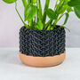 Carbon Stellar Planter, thumbnail 1 of 4
