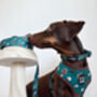 Forest Fir Cone Dog Harness, thumbnail 4 of 4