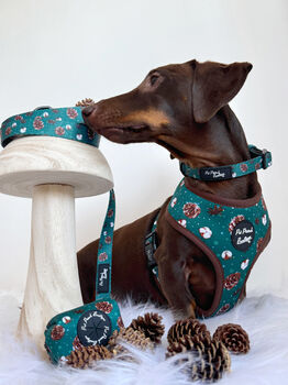 Forest Fir Cone Dog Harness, 4 of 4